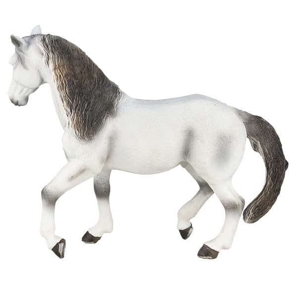 Mojo, a grey Andalusian horse