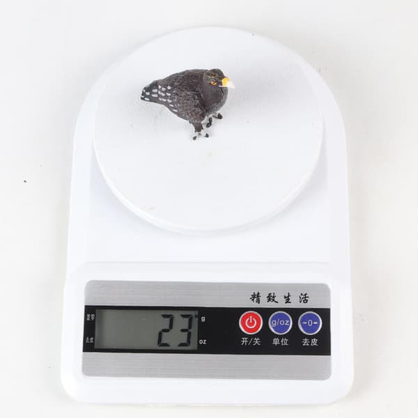 Animal eagle model; Preschool educational eagle figurine; Action figure