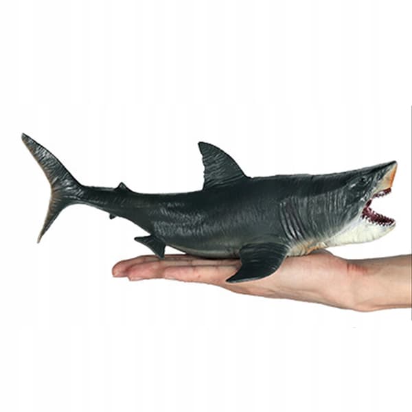 Megalodon Model: Educational Shark Figurines
