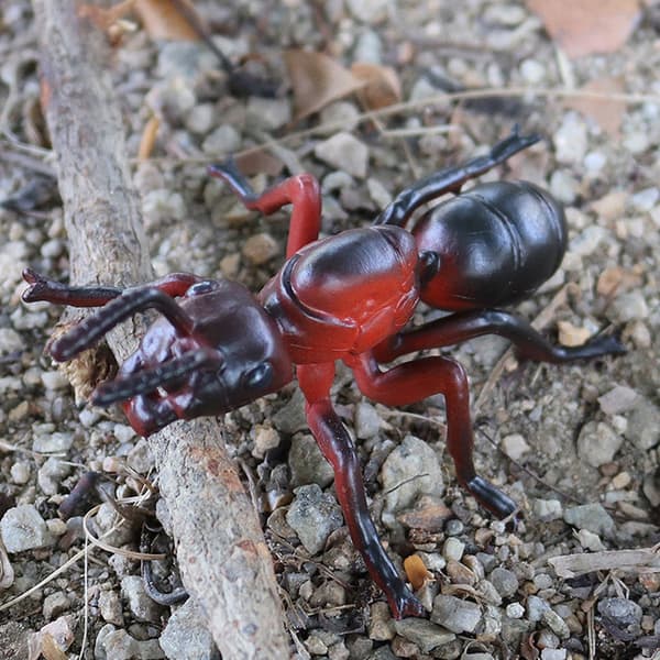3 PLASTIC MINIATURE ANTS – DECORATIONS FOR THE TABLE AND GARDEN