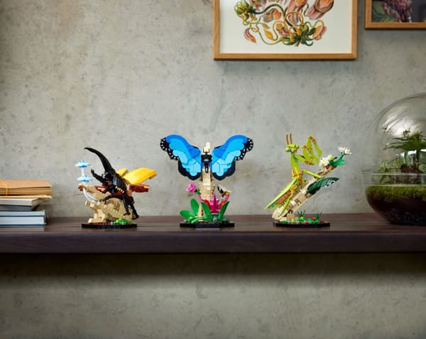 LEGO Ideas 21342 Insect Collection: Beetle, Butterfly, Mantis