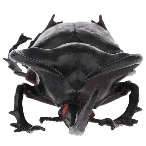 3x Lifelike Beetle Figures – Insects