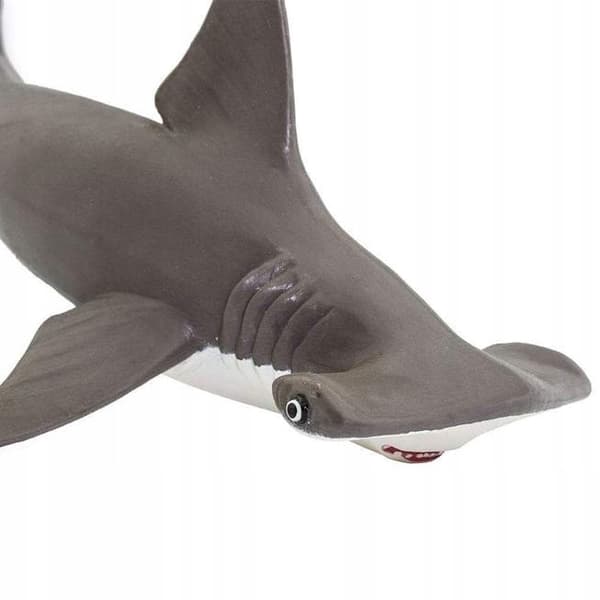 Safari Ltd. - Hammerhead Shark Figurine 267929