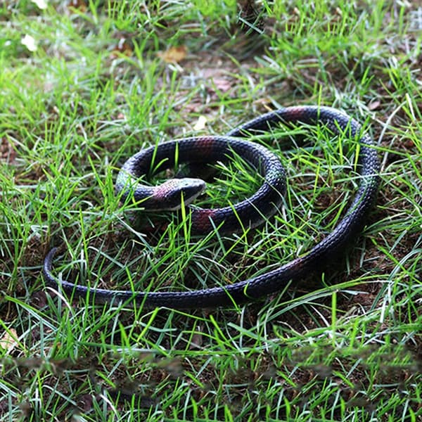 6x REALISTIC STRETCHY RUBBER SNAKE – SQUISHY TOY – PRANK GADGET