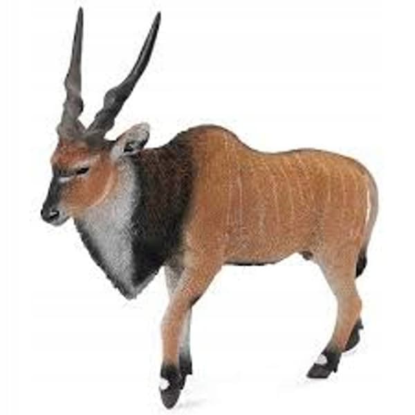 COLLECTA Eland antelope