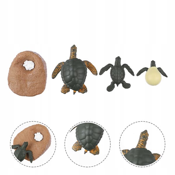 EDUCATIONAL SET OF SEA TURTLE MODELS FOR DECORATION