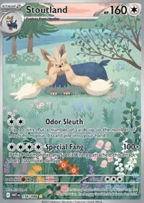 Pokemon TCG Stoutland