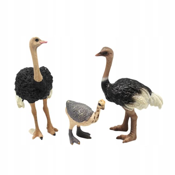 3x Bird models Ostrich model Animal figurines Sculptures Science Educational