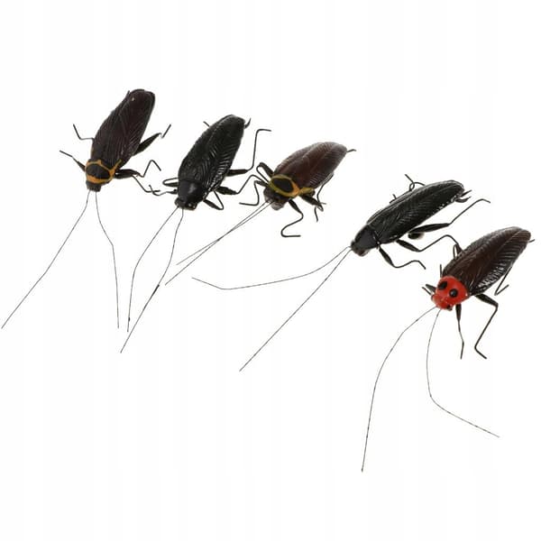 5-Piece Creative Best-Selling Artificial Cockroach Animal Model Simulation Set