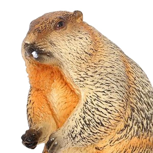 Animal model simulation: A realistic marmot toy for studying landscape style D