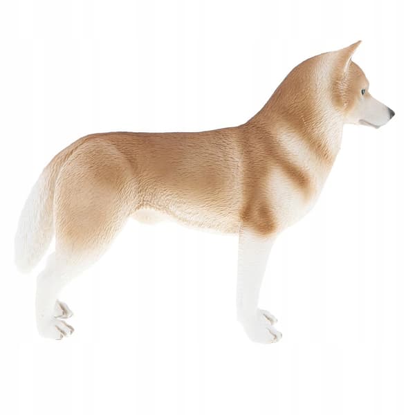 Animal simulation models Figure model Plastic figurine Children Educational