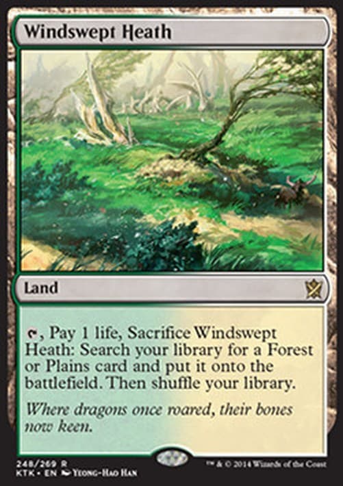 Magic: The Gathering Windswept Heath