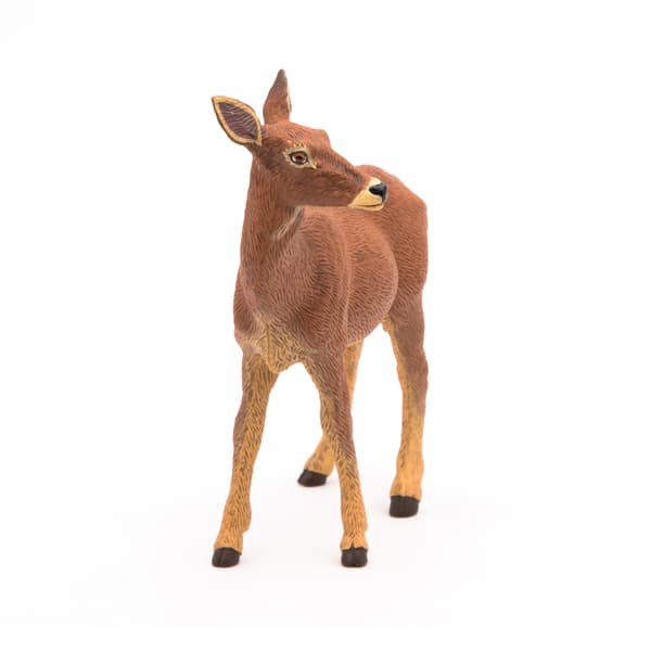 ŁANIA – DOE – PAPO – 53014