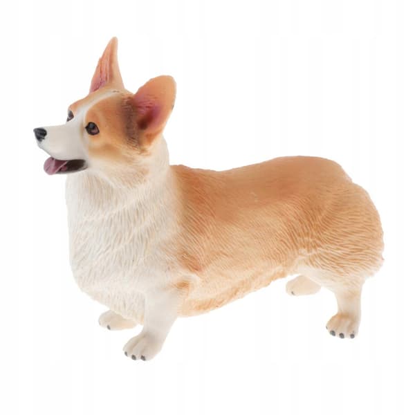 Simulation Animals Model Children’s Educational Toy Decoration, Welsh Corgi A
