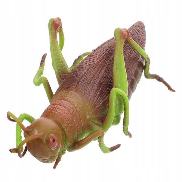 SOFT GRASSHOPPER – EDUCATIONAL TOY AND ROOM DECORATION