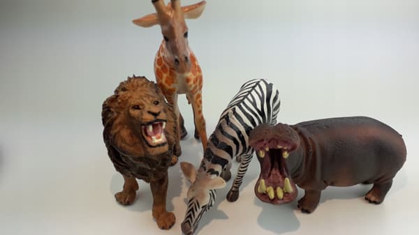 Animals: Lion, Giraffe, Zebra, Hippopotamus