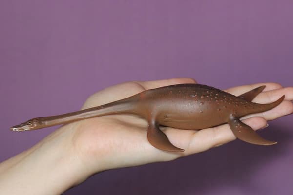 Attenborosaurus dinosaur 88489 collecta