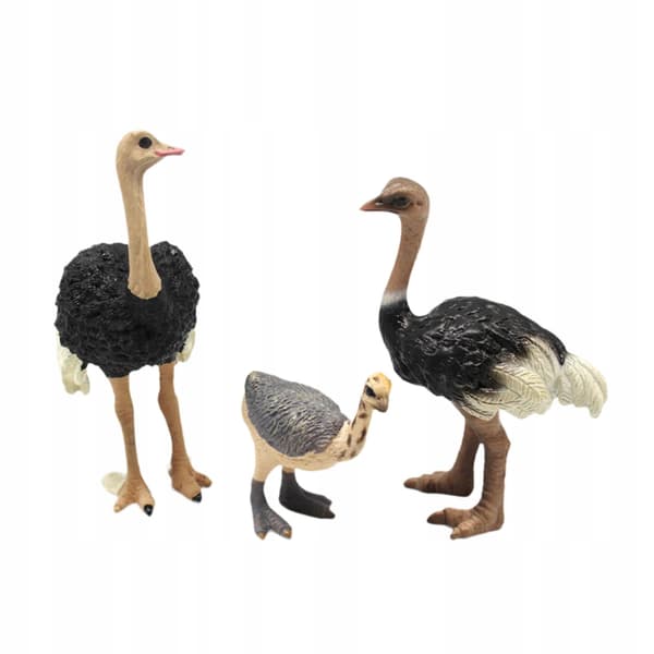 3x Bird models Ostrich model Animal figurines Sculptures Science Educational