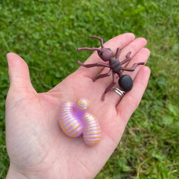 INSECT LORE educational ant life cycle figurine set for children aged 4+