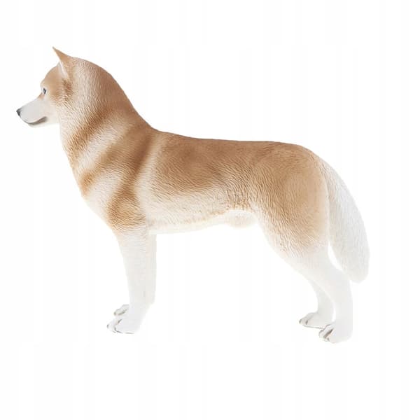 Animal simulation models Figure model Plastic figurine Children Educational