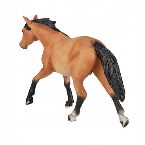 Mojo, the Quarter Horse swimmer