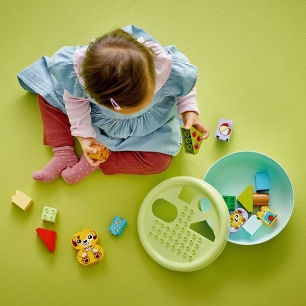 LEGO Duplo 10441 Shape Sorter: Puppy House