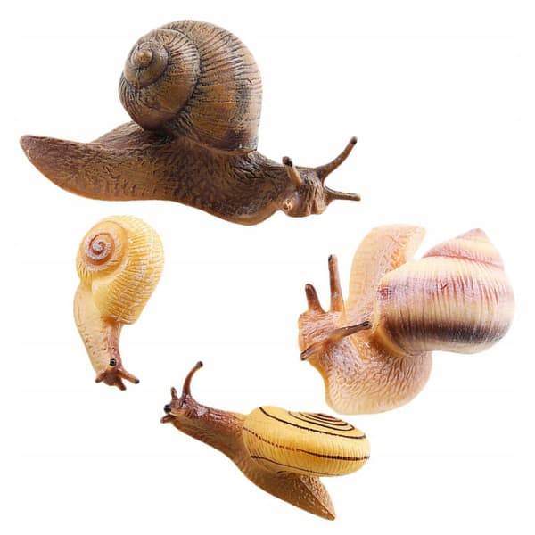 4-PIECE REALISTIC SNAIL MODEL – CAKE DECORATION AND EDUCATIONAL AID