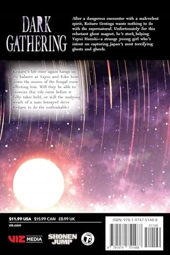 Dark Gathering, Vol. 11 by Kenichi Kondo