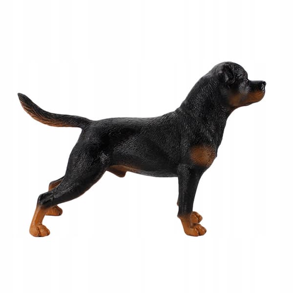 DECORATIVE BLACK PLASTIC DOG MODEL FOR THE HOME AND EDUCATION
