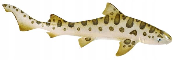 Safari Ltd. Leopard Shark Figurine