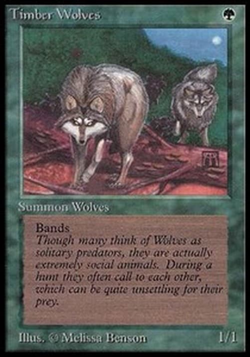Magic: The Gathering Timber Wolves