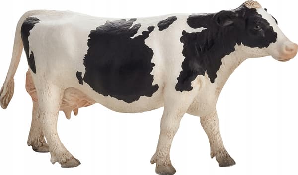 Mojo, the Holstein cow