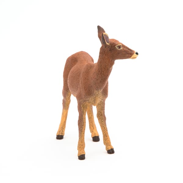 ŁANIA – DOE – PAPO – 53014