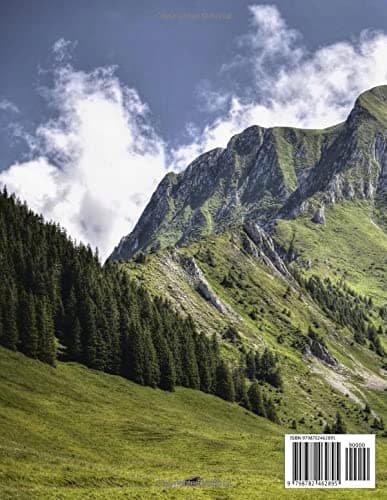 green trees and mountains beneath white clouds and a blue sky during the day: