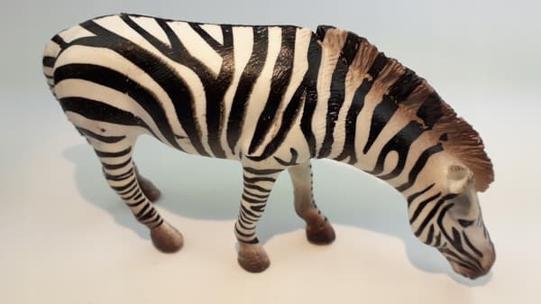 Animals: Lion, Giraffe, Zebra, Hippopotamus