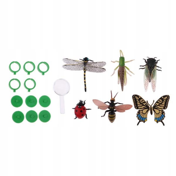 Pack of 6: Animal Model Figurine + Glass + Base + Ring
