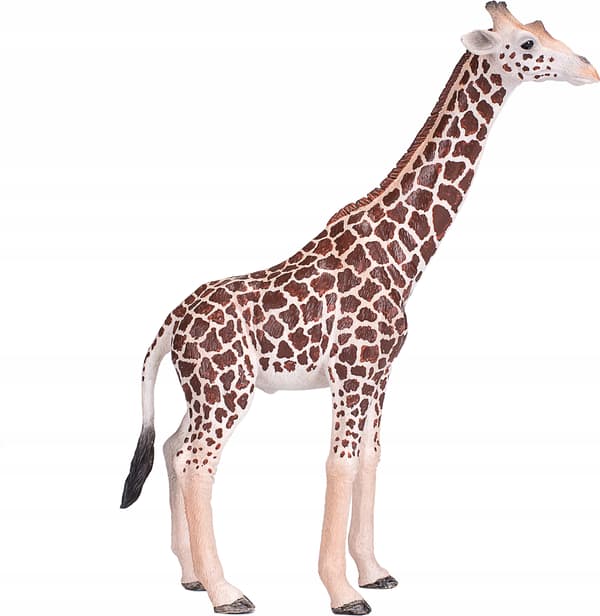 Mojo the male giraffe