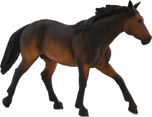 Mojo, a brown Quarter Horse