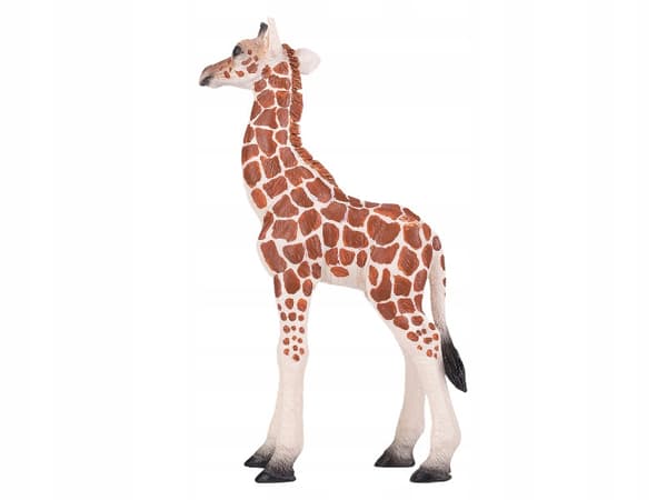 GIRAFFE – YOUNG