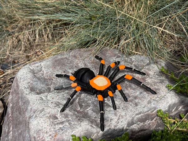 Tarantula 3D – a realistic, articulated spider, a unique figurine