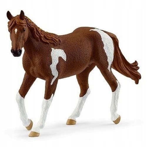 Pet – Paint Horse mare