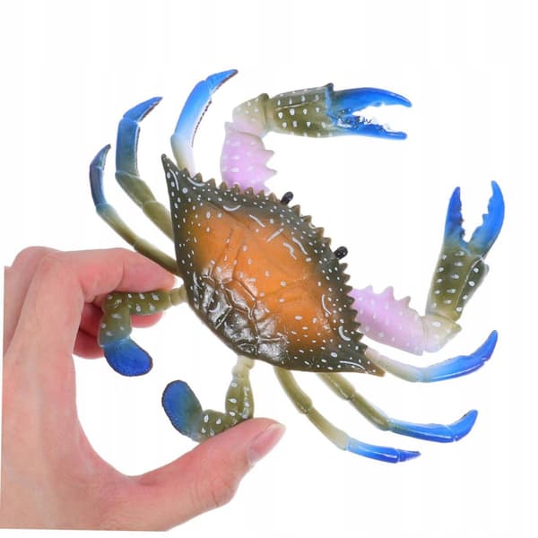 3x Realistic crustacean model – Highly detailed three-colour sea creature (2 pieces)
