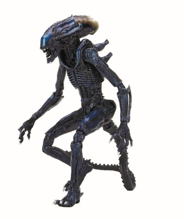 Alien vs. Predator Arachnoid Movie Deco