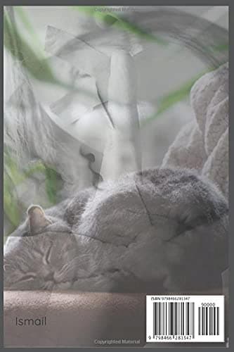 sleeping silence: Craze book