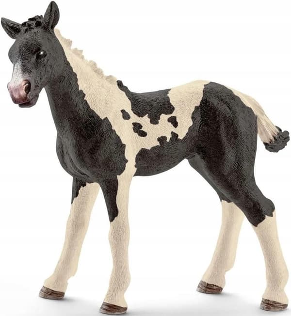 Pinto Foal – A Charming Pinto Foal for Your Collection