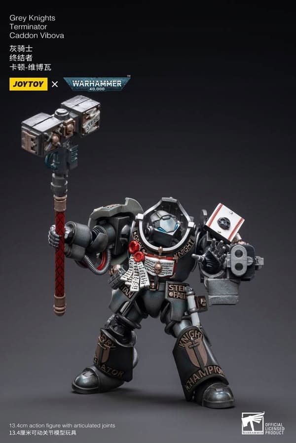 Grey Knights Terminator Caddon Vibova Warhammer 40k 1/18 Scale Figure, 13 cm