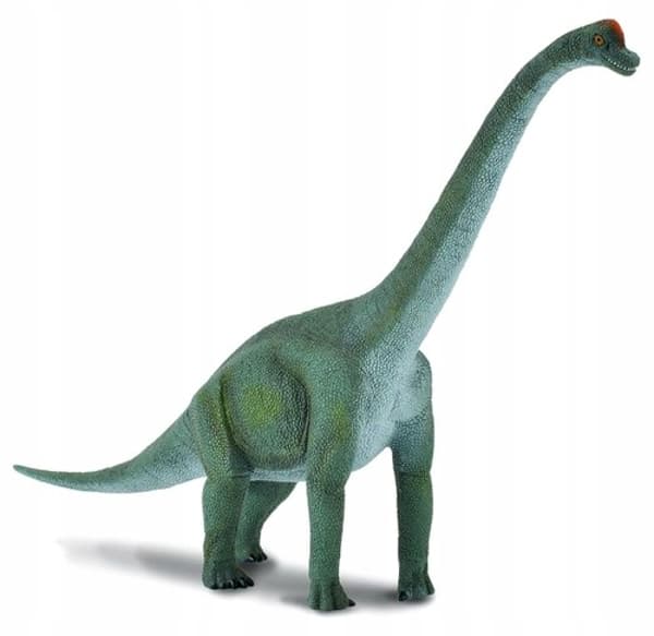 Brachiosaurus L dinosaur