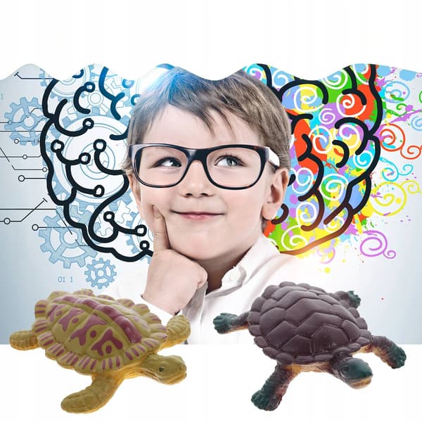 12 EDUCATIONAL TURTLE FIGURINES FOR CHILDREN