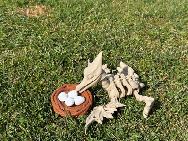 3D Pteranodon Skeleton + Nest with Eggs – a movable, articulated model