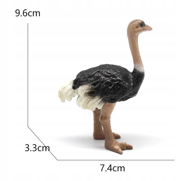 5x Hand-Painted Lifelike Bird Simulation Educational Toy Model Style C